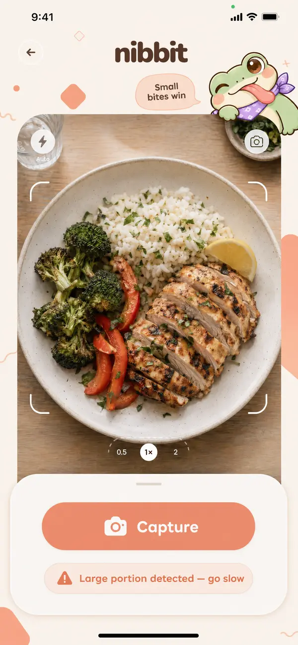 Nibbit camera view of a plate of chicken, rice and broccoli with the message: Large portion detected, go slow